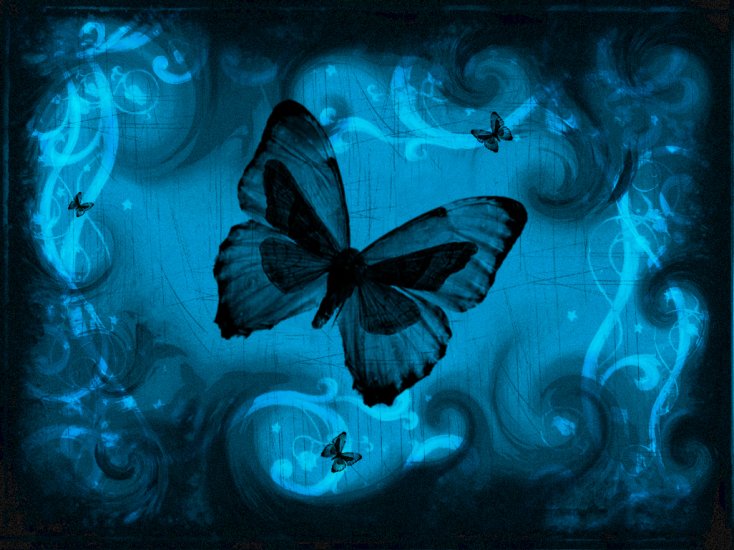 Galeria - niebieski-motylek-na-impresyjnym-tle.jpg