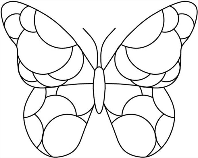 MOTYLKI I OWADY - butterfly15.jpg