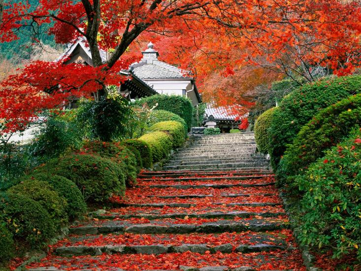 Dokumenty - jesienne uroki - Garden Staircase, Kyoto, Japan.jpg