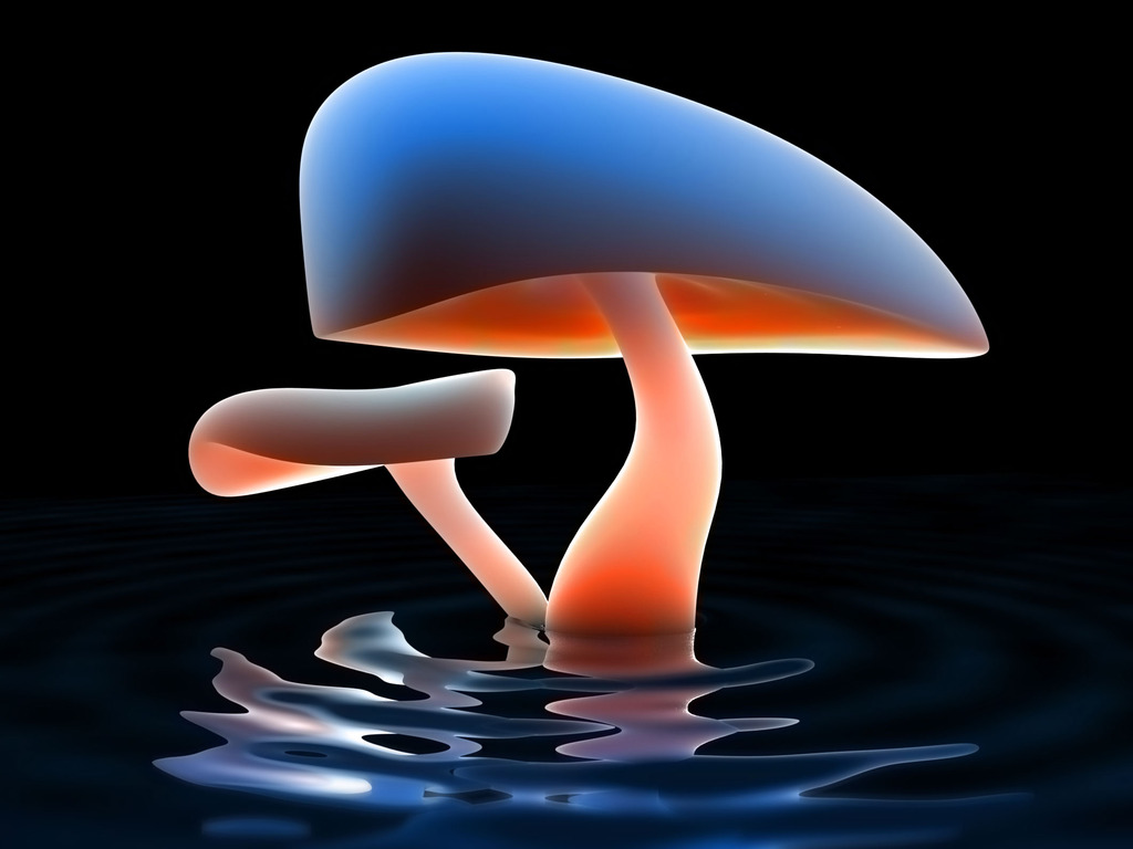 3D - mushroomlake_wds.jpg