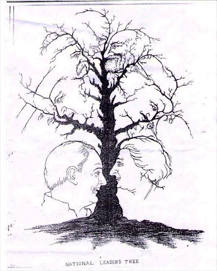 IluzjeOptyczne - national_tree.jpg