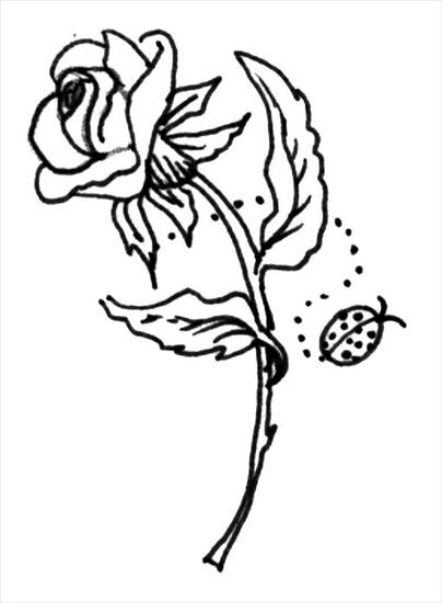 kolorowanki  - rose-with-a-ladybird-coloring-page.jpg